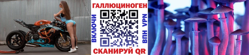 Купить где  Безенчук  Галлюциногенные грибы Cubensis 